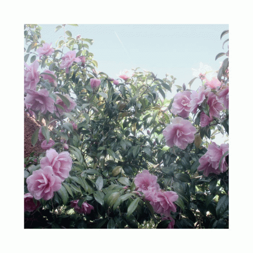 In Autumnus : Demo 2017